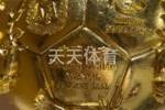 阿澳之战奖杯和用球：奖杯印有两国国家队标志，用球为阿迪TIRO